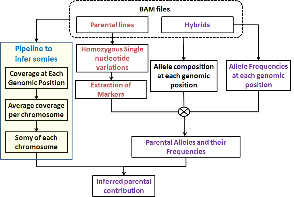 Overview