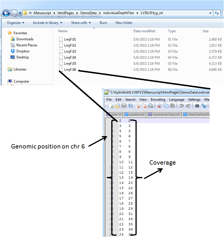 individual coverage files