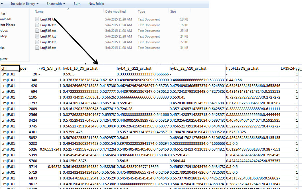 merged allele freq