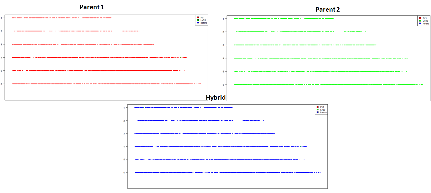 line plots