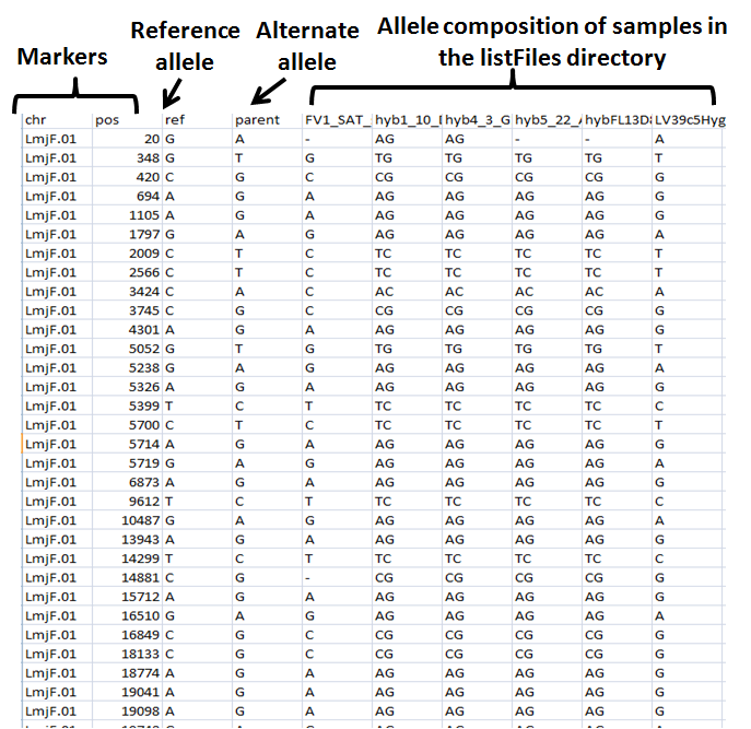 merged allele